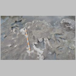 DSCN0664cr N S end.jpg